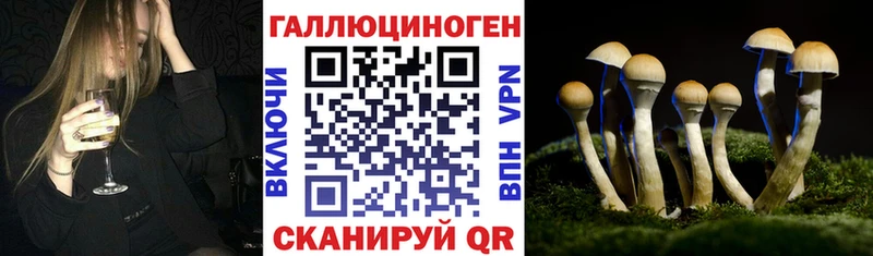 где можно купить наркотик  Юхнов  hydra tor  Галлюциногенные грибы мицелий 